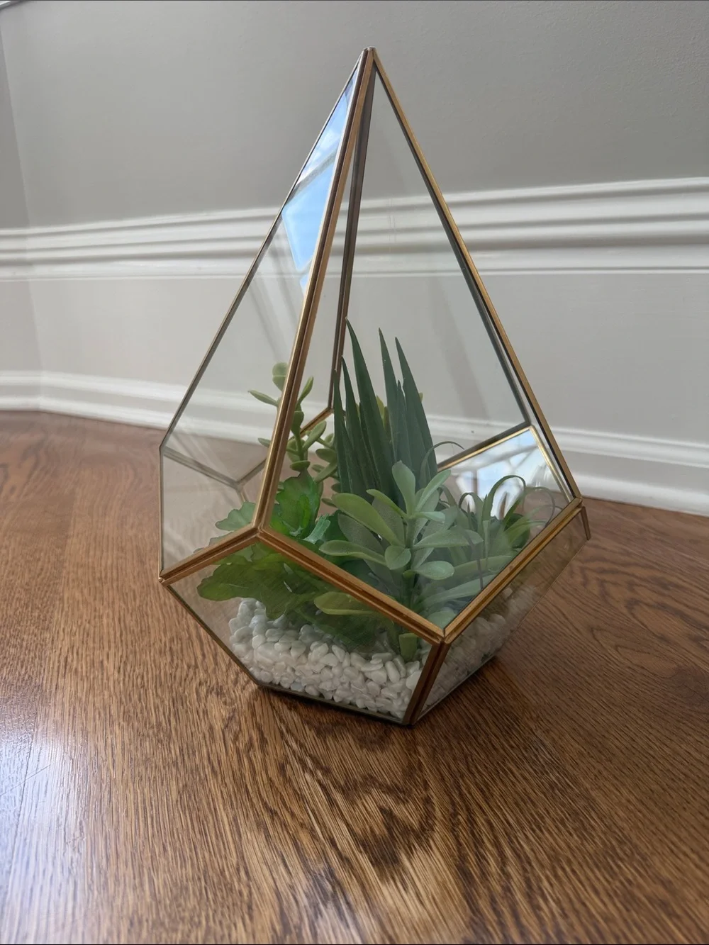 Gold Glass Geometric Terrarium with Green Succulent Arrangement